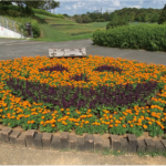 【イベント】オータムフェア(北総花の丘公園)