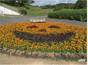【イベント】オータムフェア(北総花の丘公園)