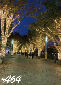 イルミネーションを見てきた！イルミライ★INZAI