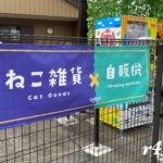 妖しい猫の店（成田市法華塚）
