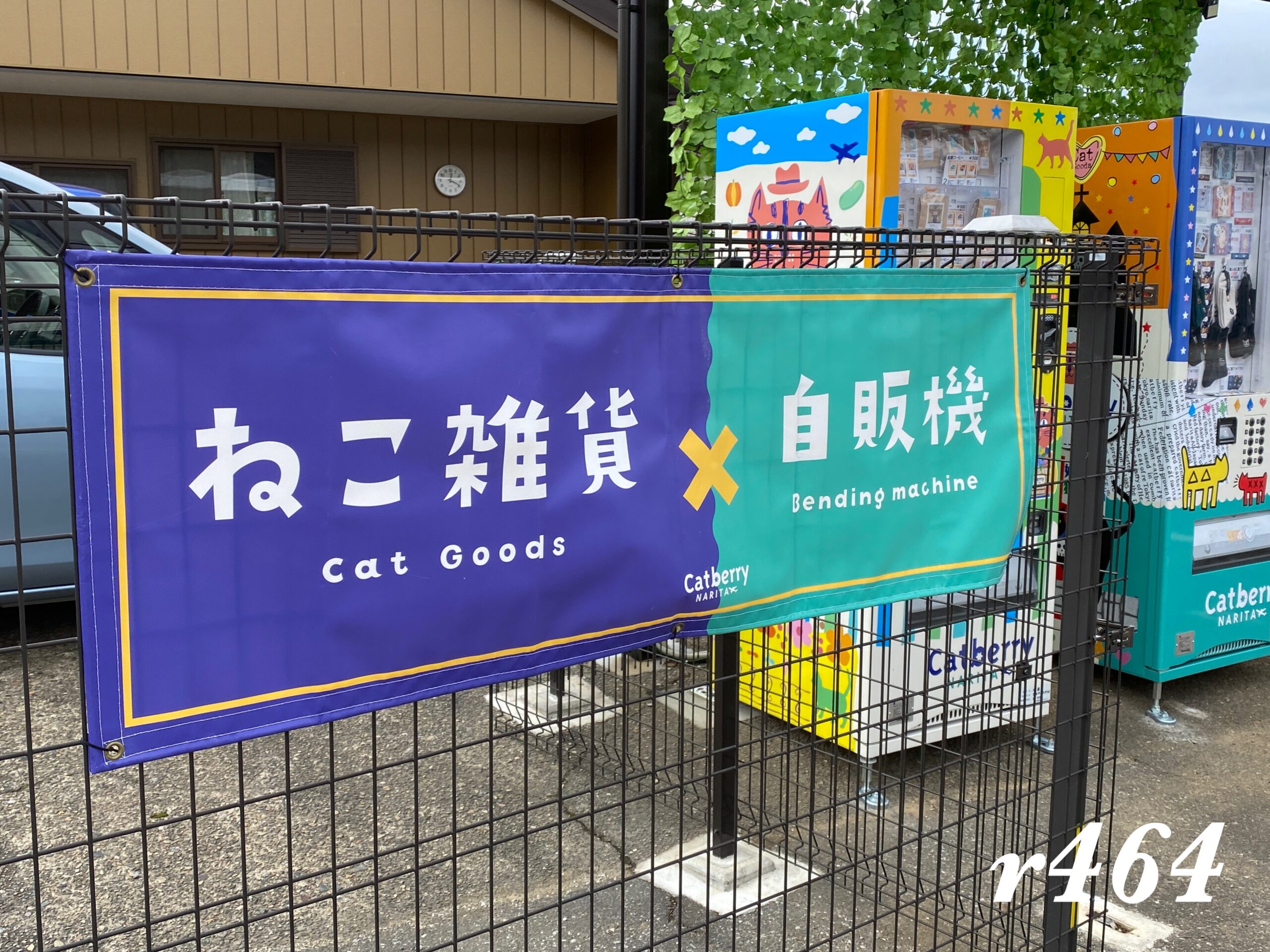 妖しい猫の店（成田市法華塚）